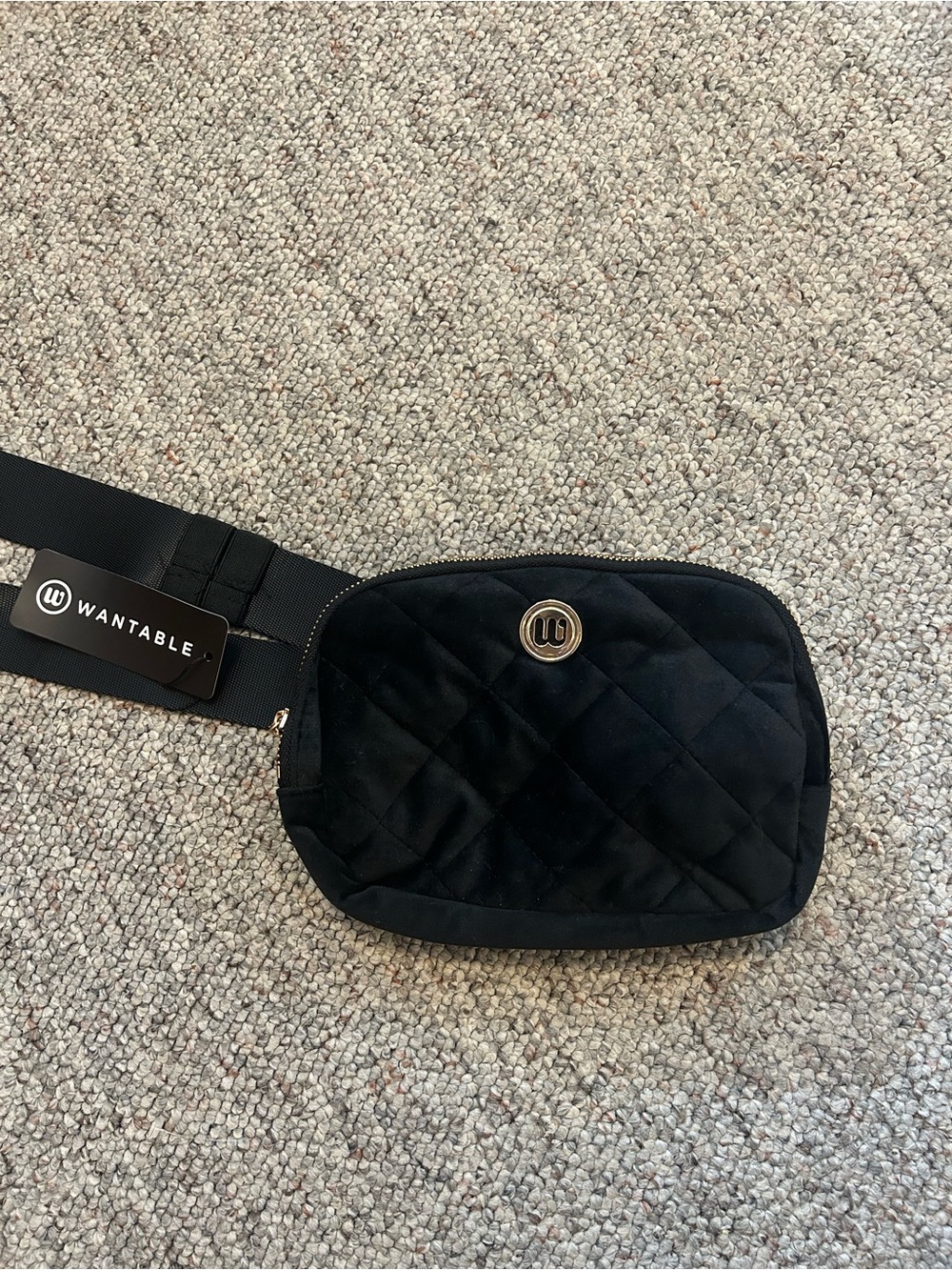 Wantable Quilted Black Velvet Belt Bag
